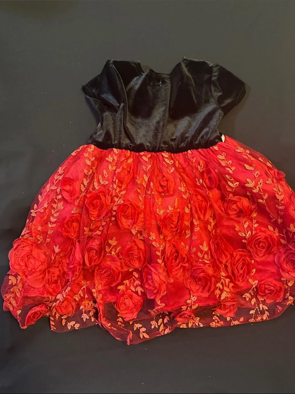 Girls Black & Red Rose Applique Party Dress Blue Beri Boulevard -no purse